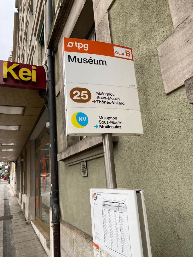 Geneve, Plein Centre,Belle Vue Lac, Splendide Et Grand Appartement المظهر الخارجي الصورة