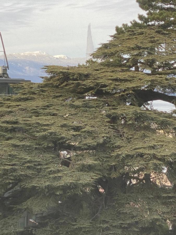 Geneve, Plein Centre,Belle Vue Lac, Splendide Et Grand Appartement المظهر الخارجي الصورة