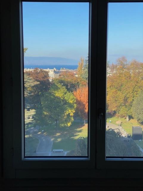 Geneve, Plein Centre,Belle Vue Lac, Splendide Et Grand Appartement المظهر الخارجي الصورة